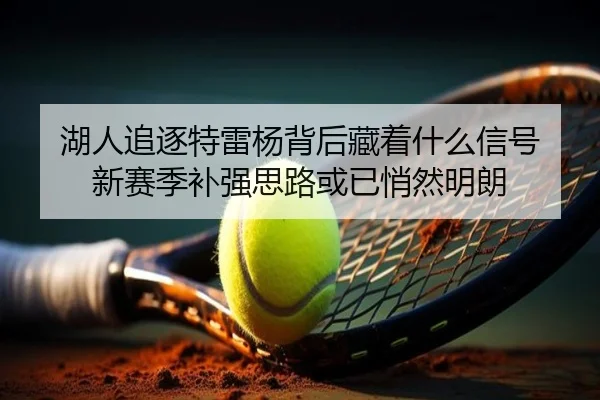 湖人追逐特雷杨背后藏着什么信号 新赛季补强思路或已悄然明朗 - maiqiuwang